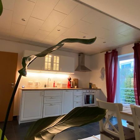 Moderne Ferienwohnung Seeblick Freudenberg  Ngoại thất bức ảnh